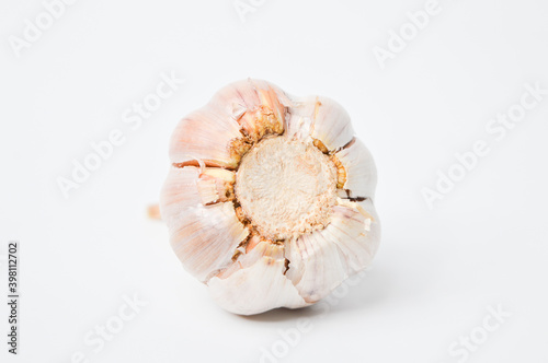 Rotten ripe garlic damaged bitten by insect and worm on a white background.