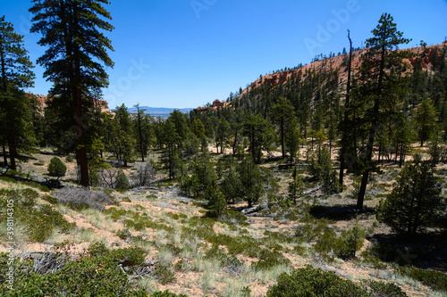 stati uniti Bryce Canyon - landscape photo