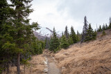 Hiking trail in Chugach State Park, Alaska