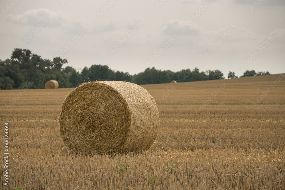 Strohballen auf dem Feld