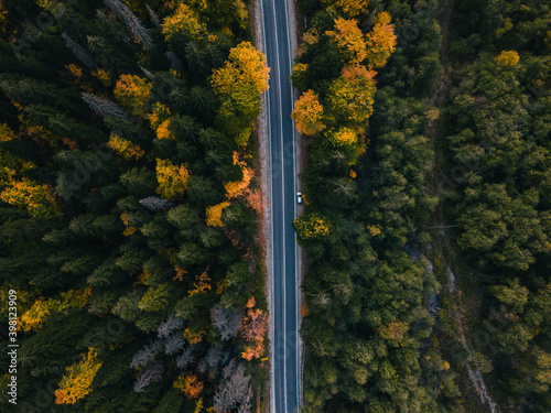 Mountain road in golden autumn among conifers in the mountains. Dombay. Russia. Drone shot