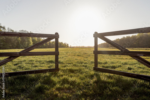 wood field fence  photo
