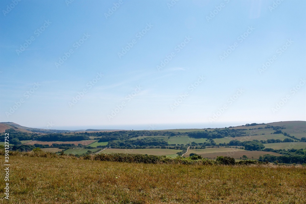 View of Agricultural Lands in Dorset United Kingdom