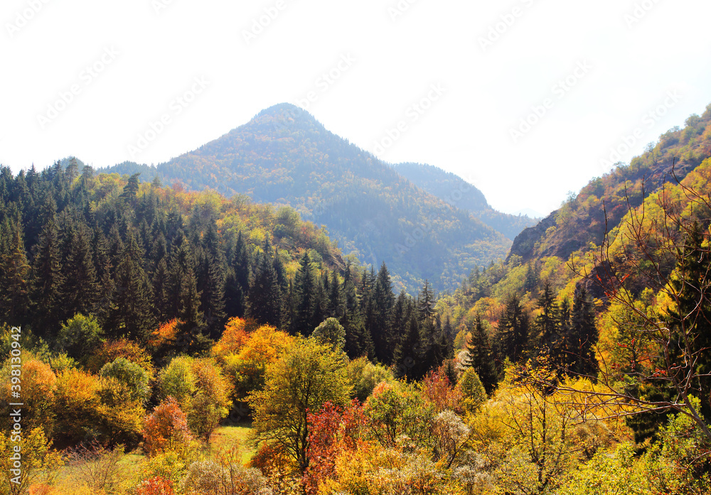 The valley of Tedzami river in autumn