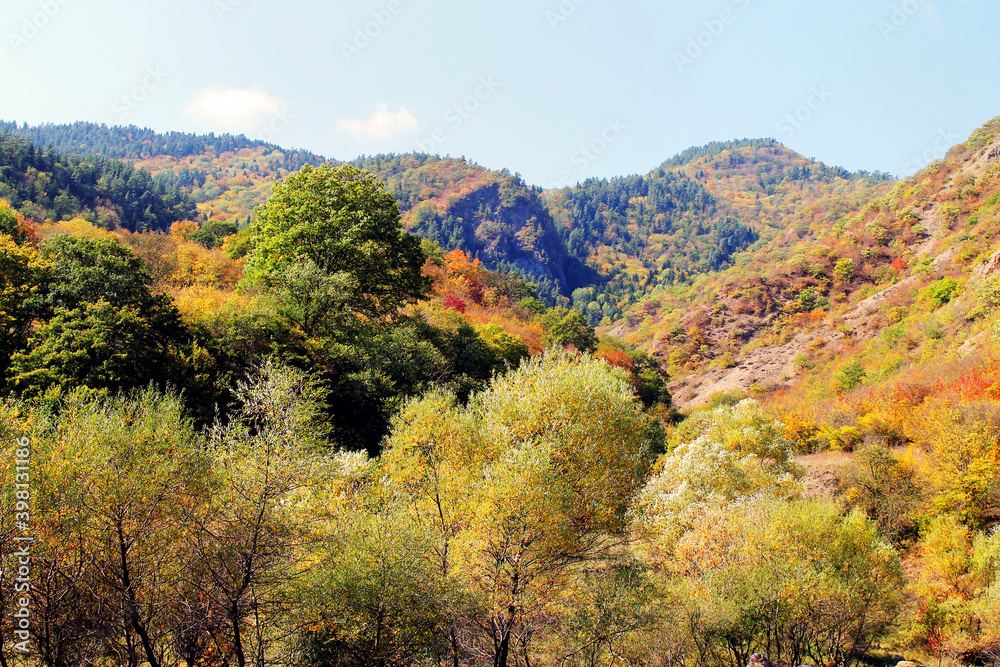 autumn in the mountains