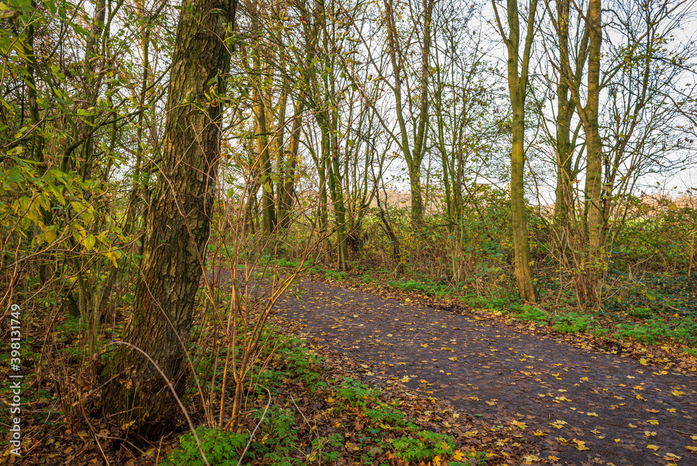 Obraz premium Polderpark Cronesteyn large park in the city of Leiden in the Dutch province of South Holland