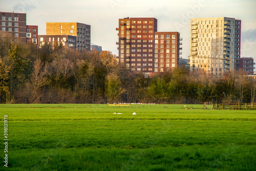 Polderpark Cronesteyn large park in the city of Leiden in the Dutch province of South Holland photo