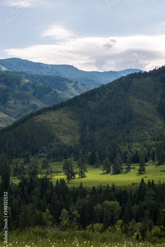 Fototapeta Naklejka Na Ścianę i Meble -  gray rocks, green forest and snow-capped mountains on the background-Altai