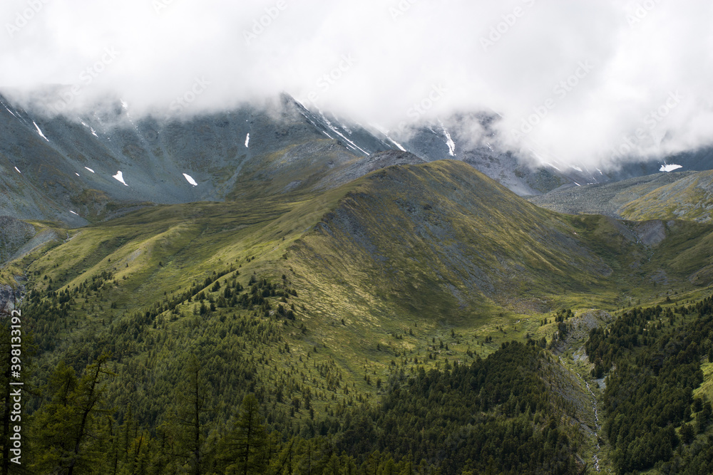 gray rocks, green forest and snow-capped mountains on the background-Altai gray rocks, green forest and snow-capped mountains on the background-Altai