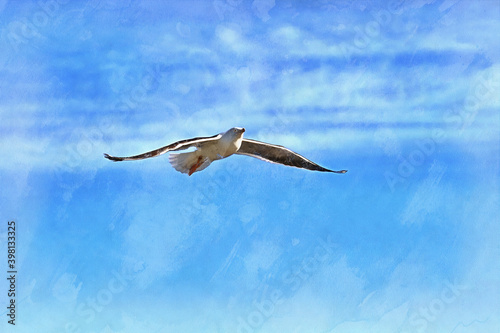 Seagull at blue sky colorful painting looks like picture.