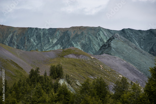 gray rocks  green forest and snow-capped mountains on the background-Altai