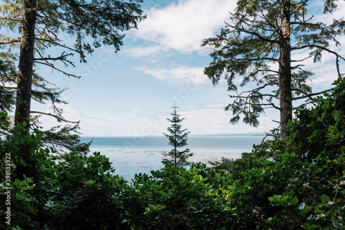 View of the ocean through the trees on the Beautiful Bay Trail, Bere Point, Sointula, Malcolm Island, British Columbia photo