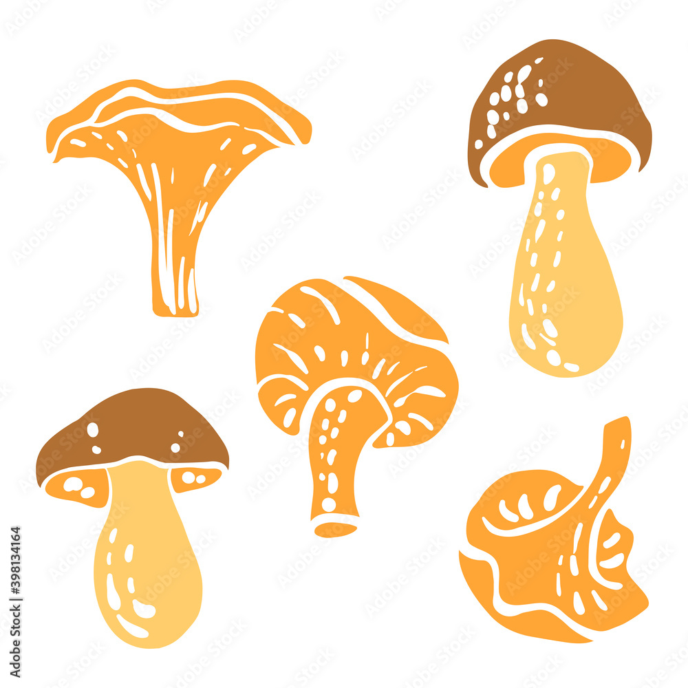 Wild mushrooms, chanterelle mushrooms. Colorful sketch of vegetables isolated on white background. Doodle hand drawn vegetables. Vector illustration