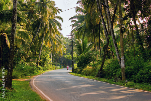 Goa, India: Turning road in a middle of Forest of palm tree. Exotic location in Goa against clear sky located in Southern part of India photo