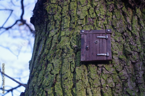 small miniature door on tree trunk close up