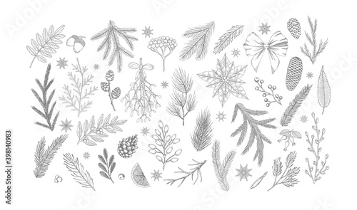 Set Christmas vector plants, holly berry, christmas tree, pine, leaves branches, holiday decoration isolated on white background.