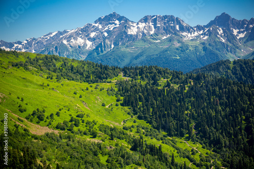 Beautiful mountain landscape with forest at Caucasus mountains. © idea_studio