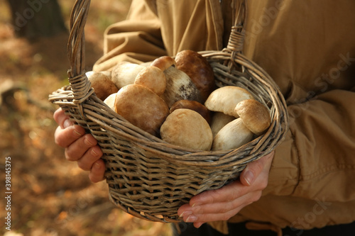 Woman holding basket with porcini mushrooms in forest, closeup