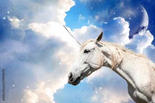Magic unicorn in fantastic sky with fluffy clouds and crescent © New Africa