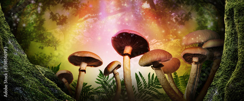 Fototapeta Naklejka Na Ścianę i Meble -  Fantasy world. Mushrooms lit by magic light in enchanted forest, banner design