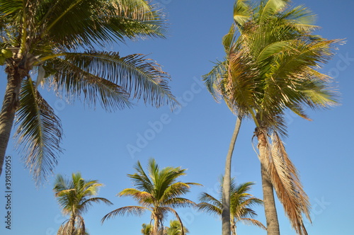 A cloudless winter day in Florida. 