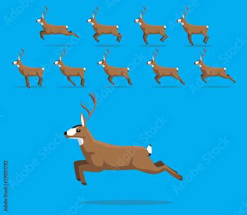 Animal Animation Sequence Mule Deer Cartoon Vector