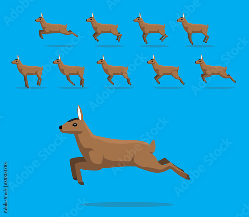 Animal Animation Sequence Mule Deer Female Stag Cartoon Vector