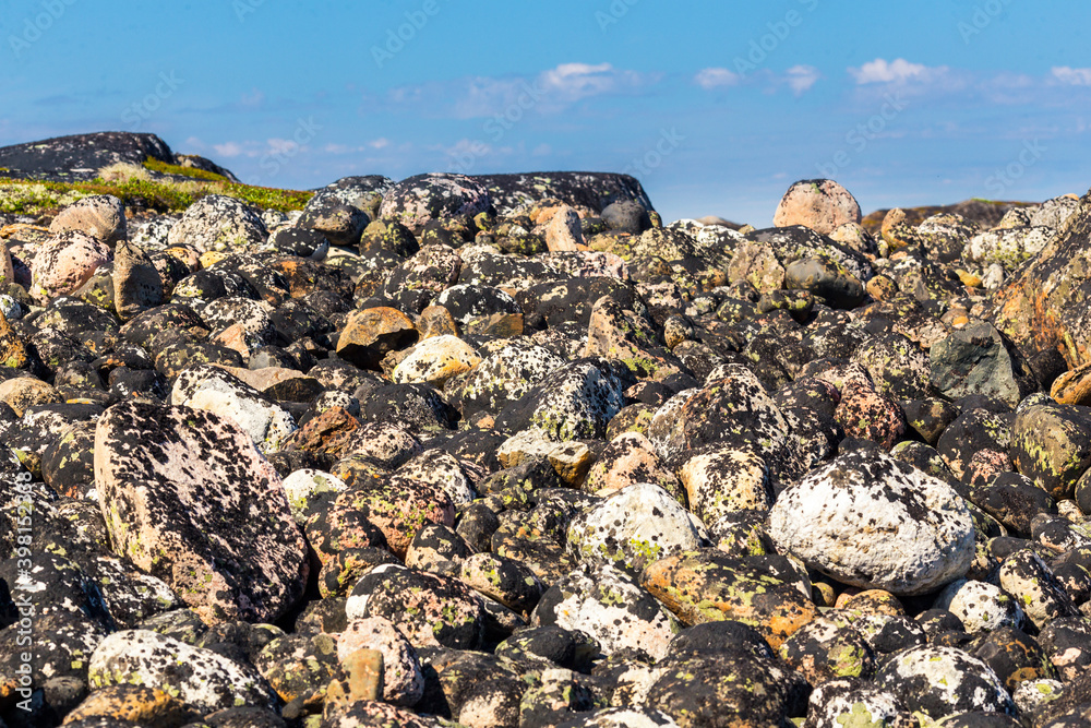 View on Barents sea shoreline with stones View on Barents sea shoreline with stones