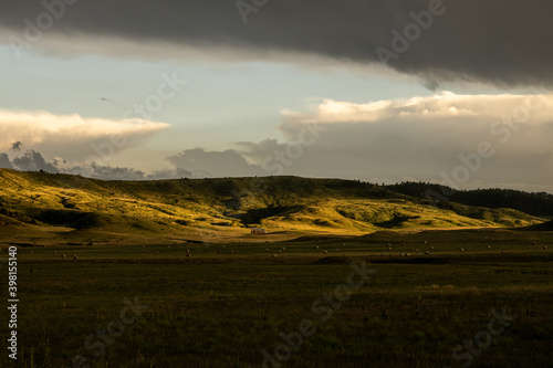 Late Afternoon Light Over the Fields of South Dakota
