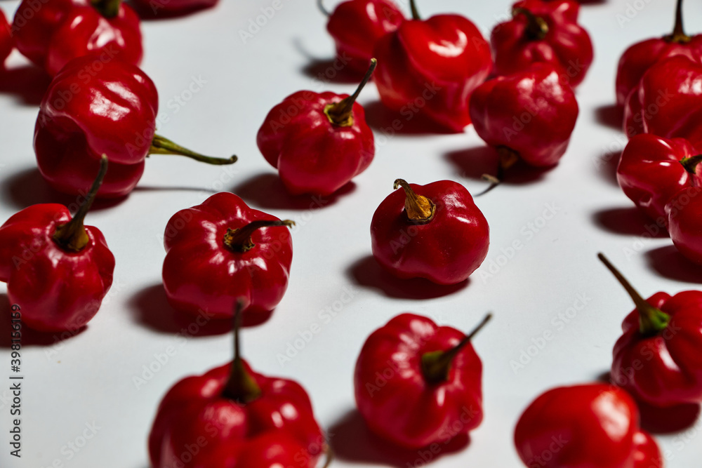 Red hot chilli peppers on white background Red hot chilli peppers on white background