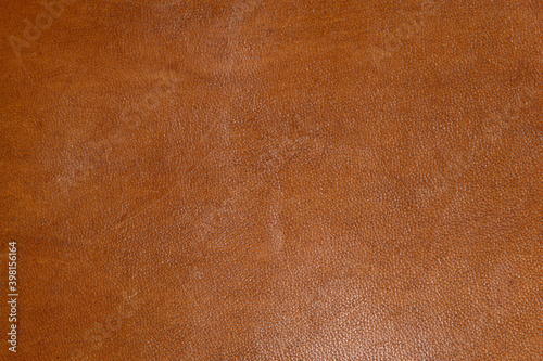 leather grunge background: an old piece of tough camel skin, with scuffs, spots, scars