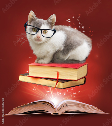 Education illustration. Adorable kitty in glasses and old books.