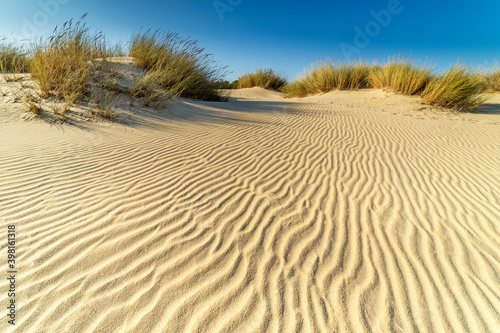 Littoral dune with vegetation and waves in the sand on a beach in Andalusia, Spain. Landscape photography concept.