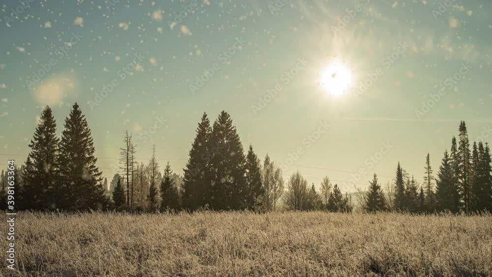 Tree pine spruce in magic forest winter with falling snow sunny day. Snow forest snowfall. Christmas Winter New Year background. Cinemagraph seamless loop animation motion gif render. video loop Tree pine spruce in magic forest winter with falling snow sunny day. Snow forest snowfall. Christmas Winter New Year background. Cinemagraph seamless loop animation motion gif render. video loop