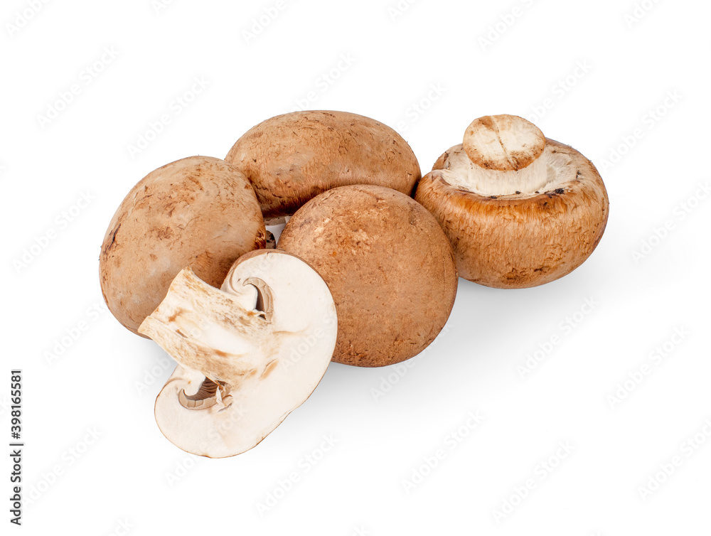 Fresh champignon mushrooms isolated on white. background Fresh champignon mushrooms isolated on white. background