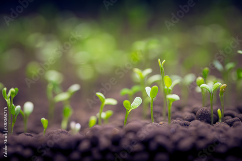Seedlings of water plants