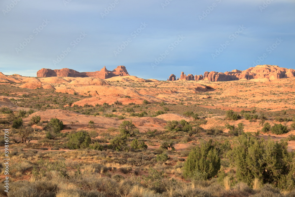Desert flora and landscape, Arches National Park, Utah