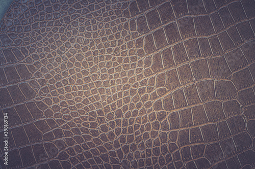Fototapeta Naklejka Na Ścianę i Meble -  Brown snake skin pattern