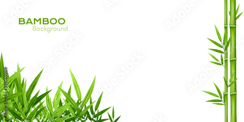Bamboo decoration. Background with leaves borders.