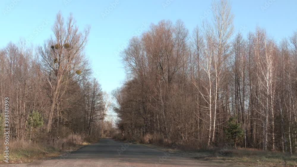 Spring landscape with forest even without leaves and forest road early in the morning. Asphalt road, trees without leaves
Spring landscape with forest even without leaves and forest road early in the morning. Asphalt road, trees without leaves