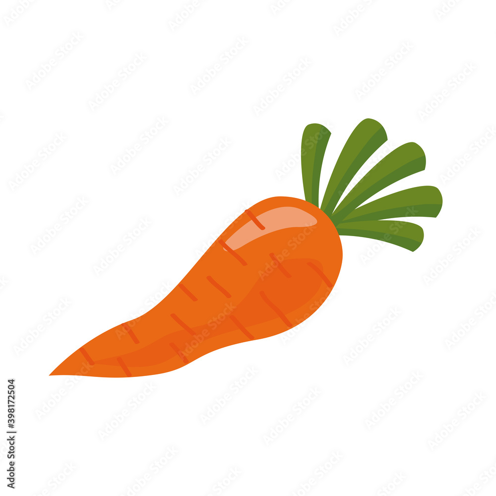 fresh carrot vegetable healthy food icon fresh carrot vegetable healthy food icon