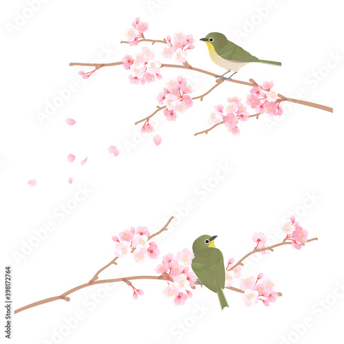 桜の枝に止まるかわいい野鳥メジロのベクターイラスト