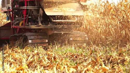 Footage Slow Motion: Combine harvester harvesting corn crop working in the light of the morning sun photo