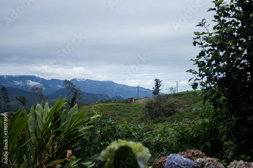 landscape in the mountains