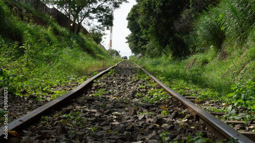 railway in the forest