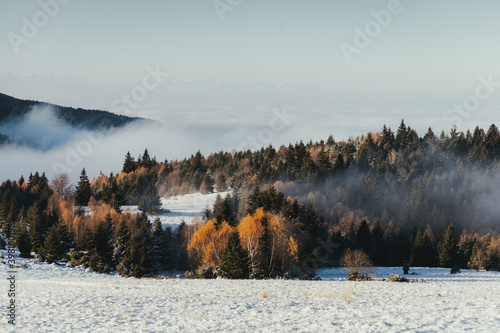 Foggy autumn-winter nature ...