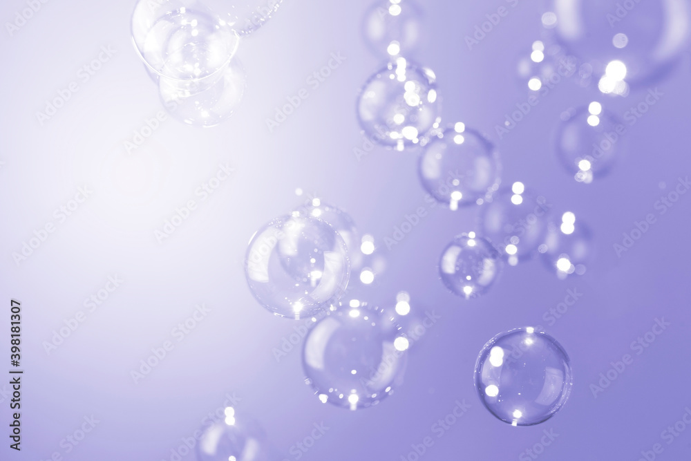 Transparrent soap bubbles float on purple background.