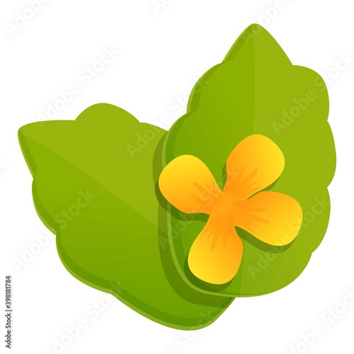 Celandine herb flower icon. Cartoon of celandine herb flower vector icon for web design isolated on white background