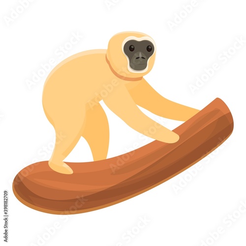 Gibbon on tree branch icon. Cartoon of gibbon on tree branch vector icon for web design isolated on white background