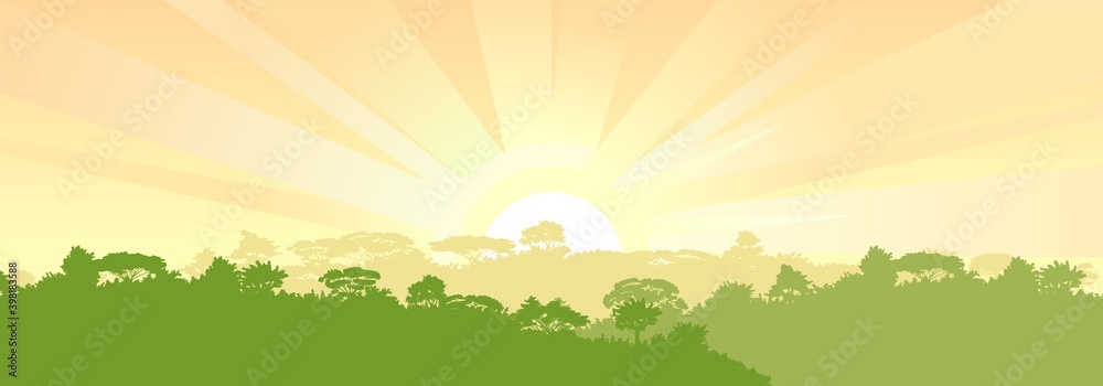 Deciduous forest. Silhouette. Mature, spreading trees. Thick thickets. Hills overgrown with plants. Sky with sunrise and morning rays. Vector